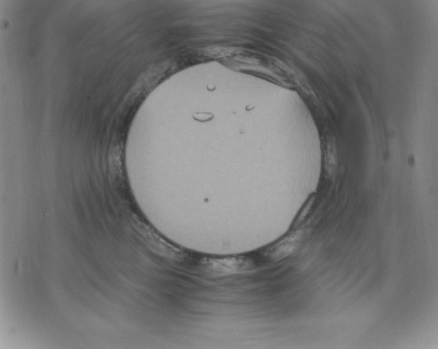 X0000075840473200610151549