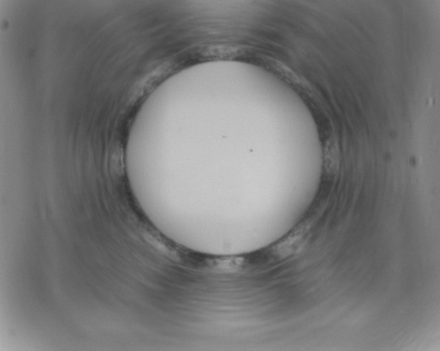 X0000075840474200610151549