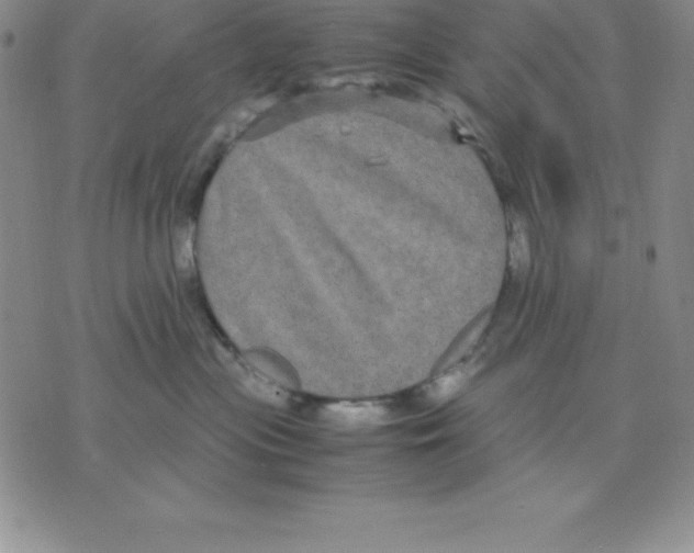 X0000075840477200610151549