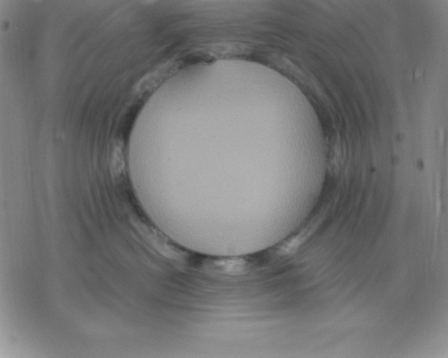 X0000075840478200610151549