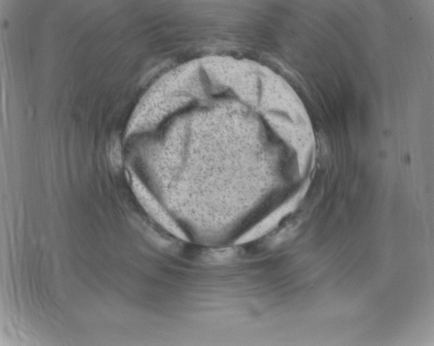 X0000075840479200610151549