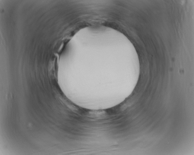 X0000075840480200610151549