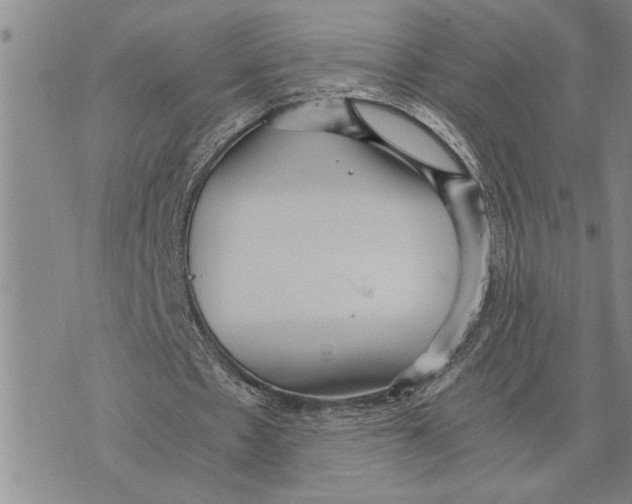 X0000075840481200610151549