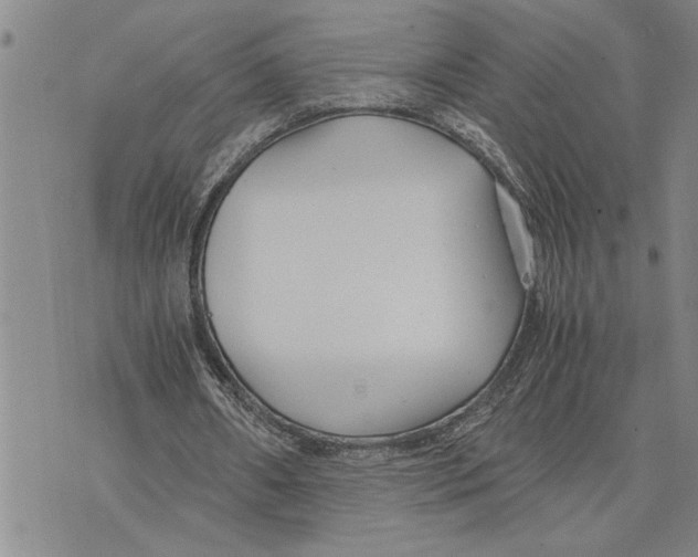 X0000075840482200610151549