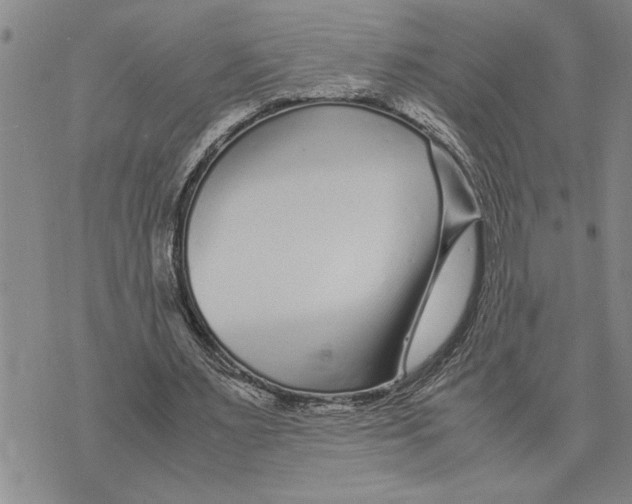 X0000075840483200610151549