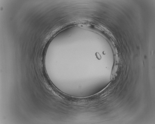 X0000075840485200610151549