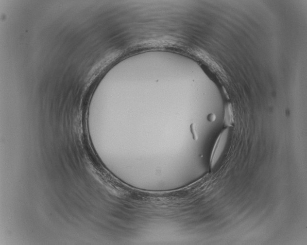 X0000075840486200610151549