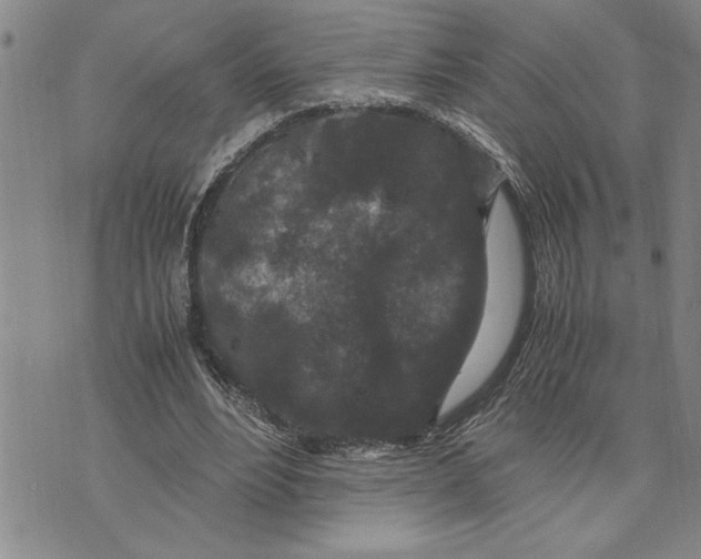 X0000075840488200610151549