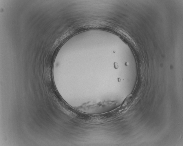 X0000075840489200610151549