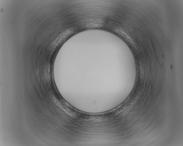 X0000075840490200610151549