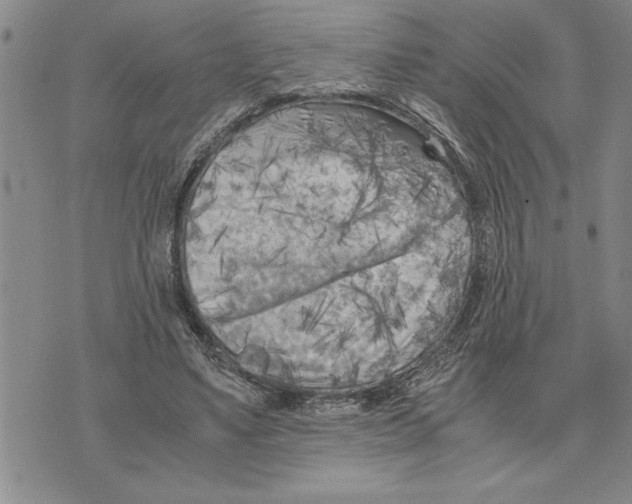 X0000075840491200610151549