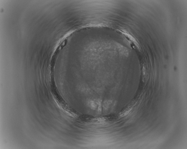 X0000075840492200610151549