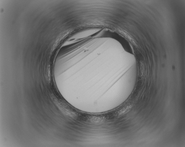 X0000075840494200610151548