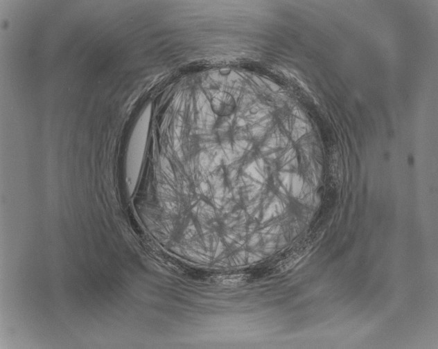 X0000075840495200610151548