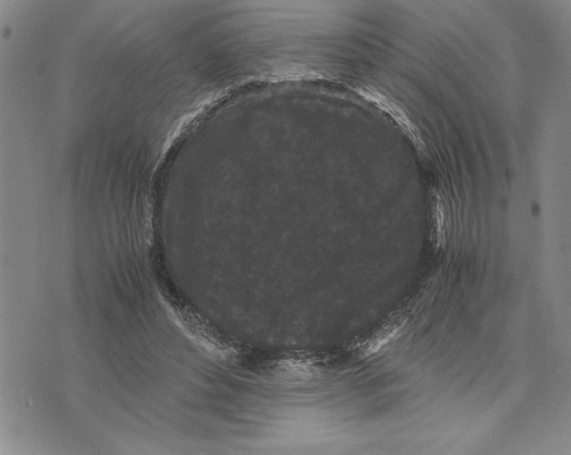 X0000075840496200610151548