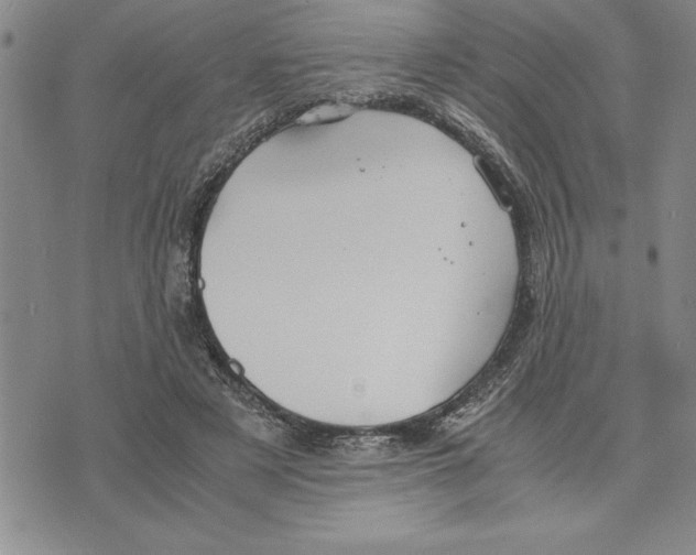 X0000075840497200610151548