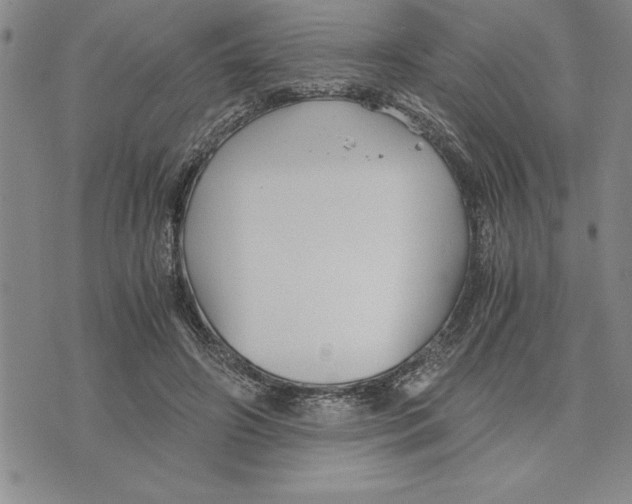 X0000075840498200610151548