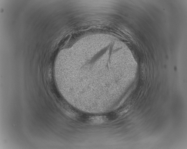 X0000075840499200610151548