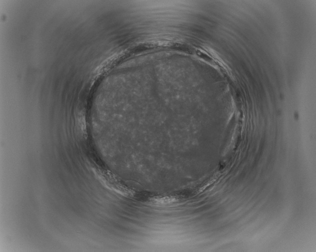 X0000075840500200610151548