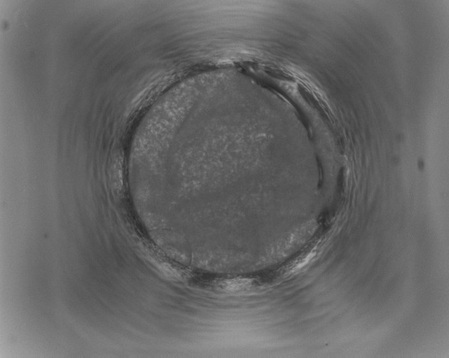 X0000075840501200610151548