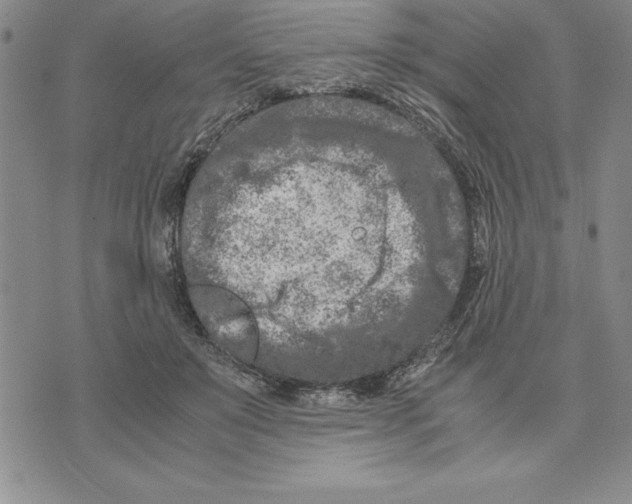 X0000075840503200610151548