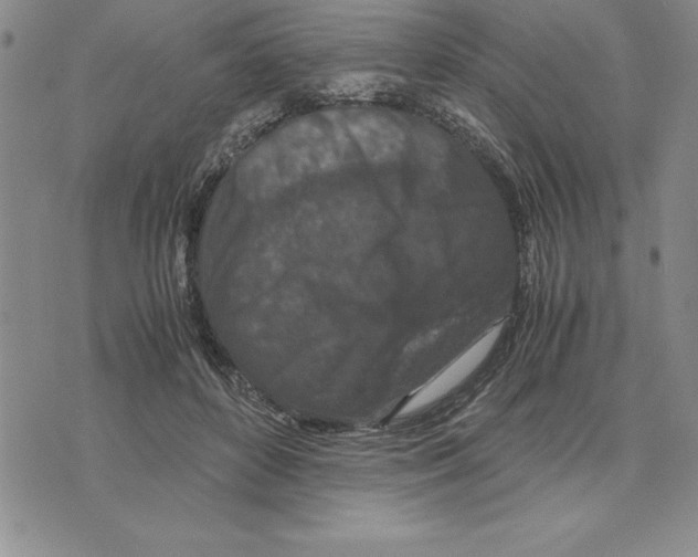 X0000075840504200610151548