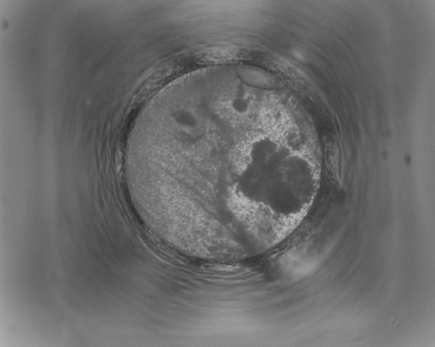 X0000075840507200610151548