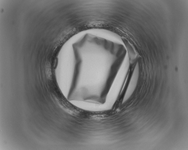 X0000075840508200610151548