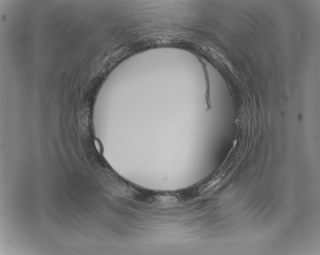 X0000075840509200610151548