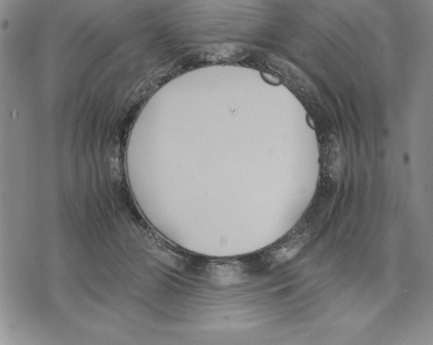 X0000075840510200610151548