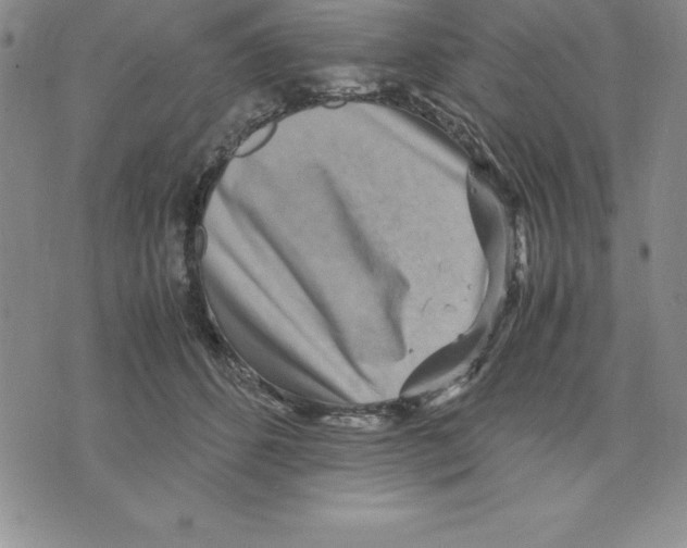 X0000075840512200610151548