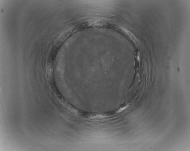 X0000075840513200610151548