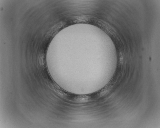 X0000075840514200610151548