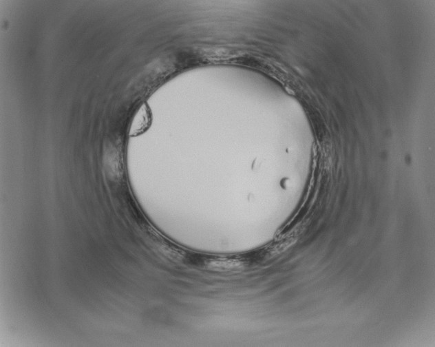 X0000075840515200610151548