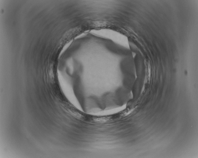 X0000075840516200610151548