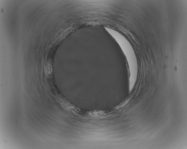 X0000075840517200610151548