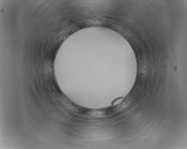 X0000075840518200610151548