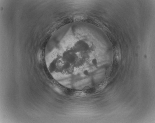 X0000075840519200610151548