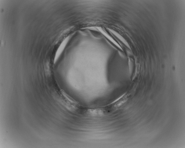 X0000075840520200610151548