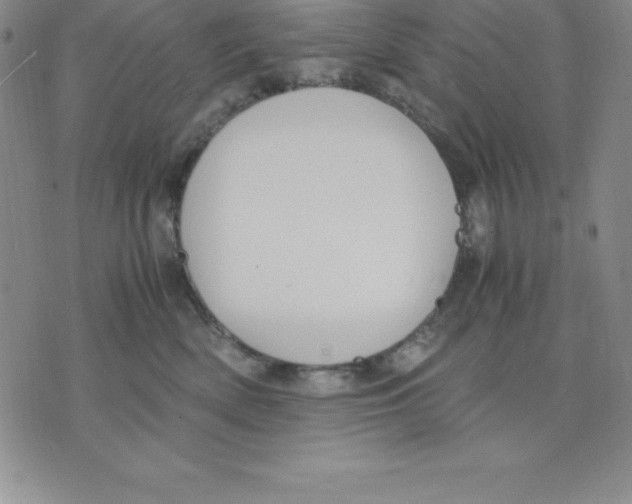 X0000075840522200610151548