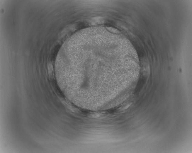 X0000075840523200610151548