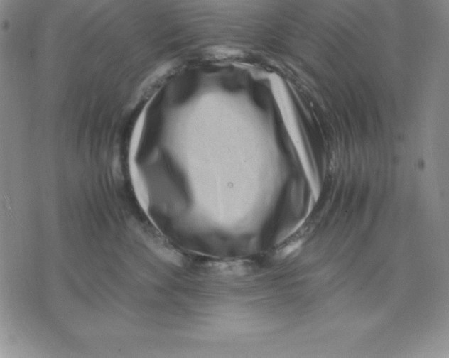 X0000075840524200610151548