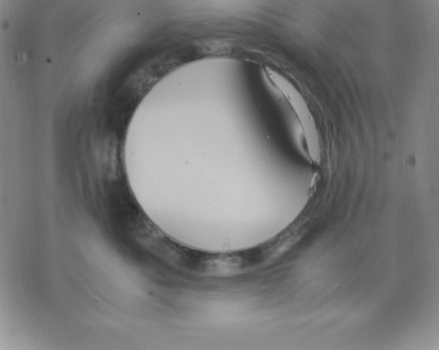 X0000075840525200610151548