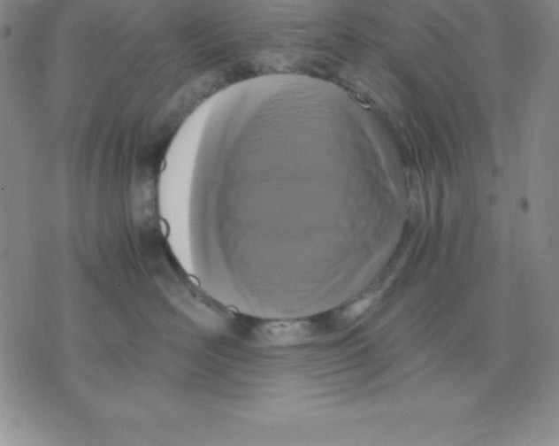 X0000075840526200610151548