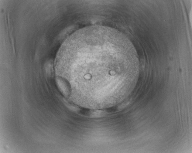 X0000075840527200610151548