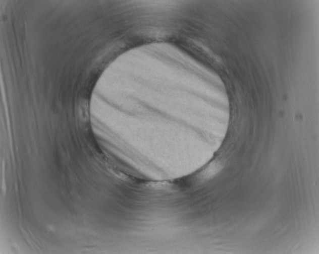 X0000075840528200610151548