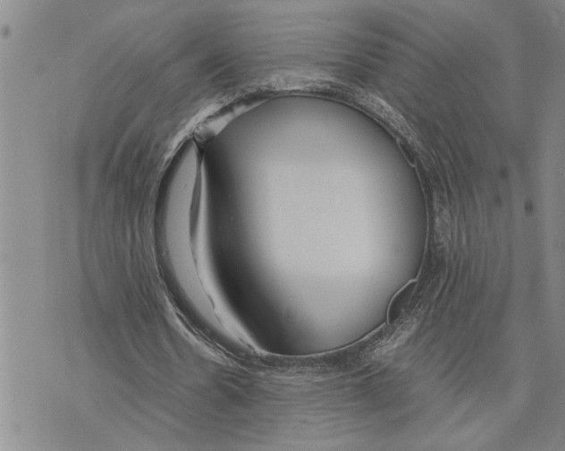 X0000075840530200610151547