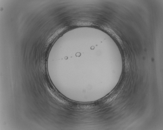 X0000075840533200610151547