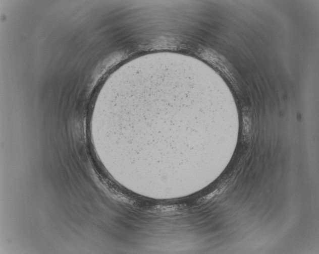 X0000075840534200610151547