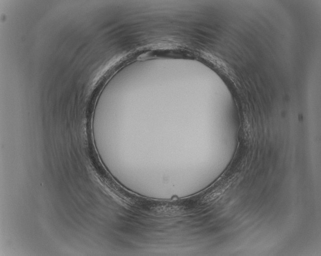 X0000075840535200610151547